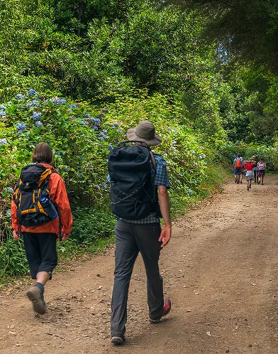 Family on levada walk