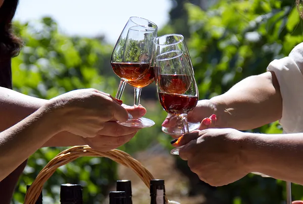 Private vineyard wine tasting