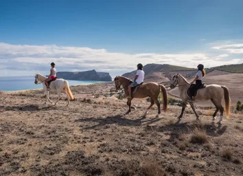 Passeio a cavalo na praia do Porto Santo