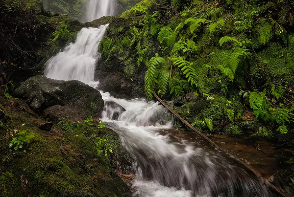 Waterfall in forest