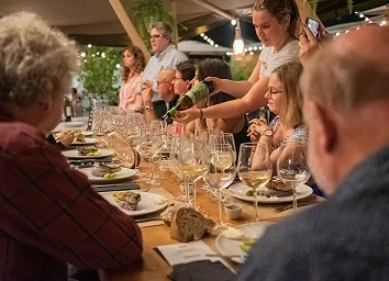 Outdoor vineyard lunch