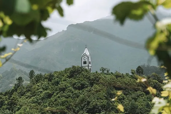 São Vicente vineyards