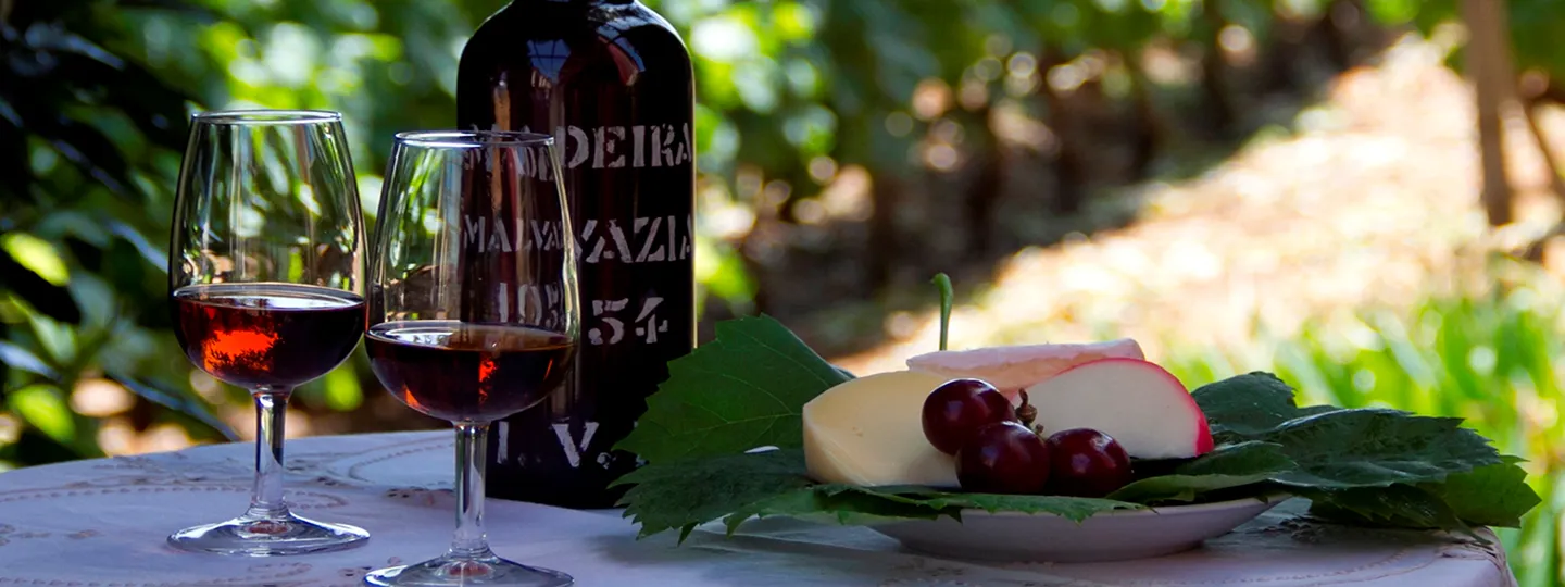 Wine glass with vineyard background