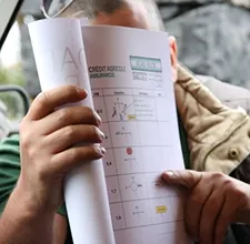 Peddy paper activity