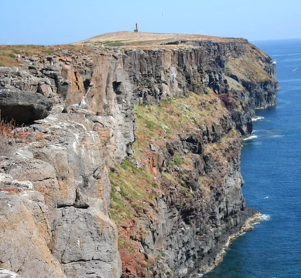 Steep coastal cliffs with a lighthouse and nesting seabirds on the Desertas