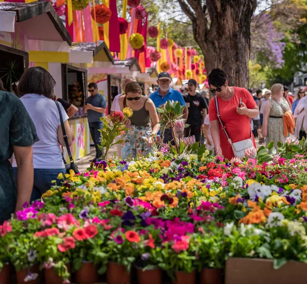 Crowds browsing colourful flower displays at Madeira's Flower Festival