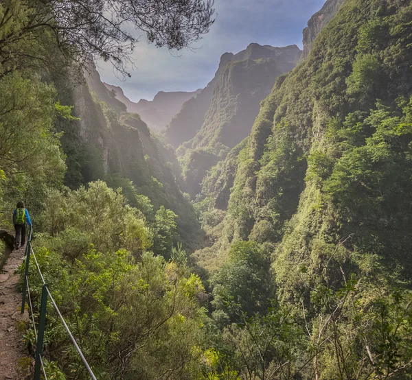 Hiker walking a narrow levada trail cut into a cliffside canyon in Madeira