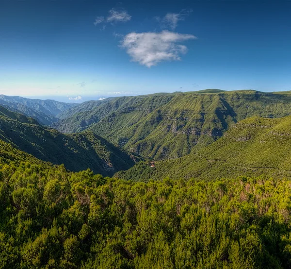 A wide green forested valley view at Rabaçal