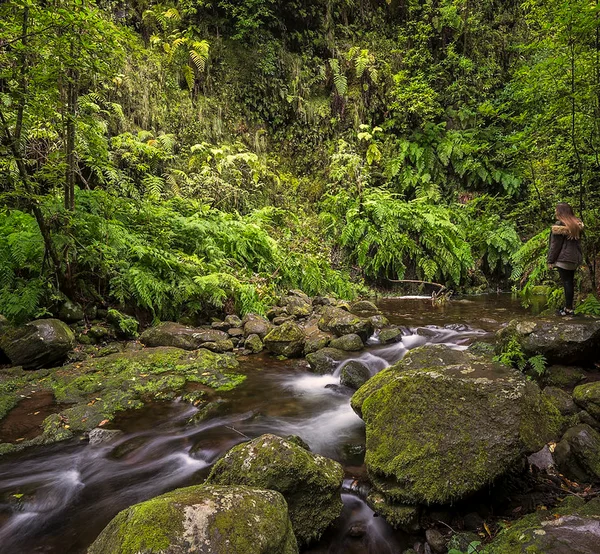 A woman standing by a clear stream in the fern forest