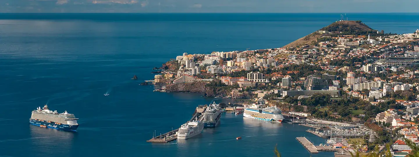 Madeira Island aerial view