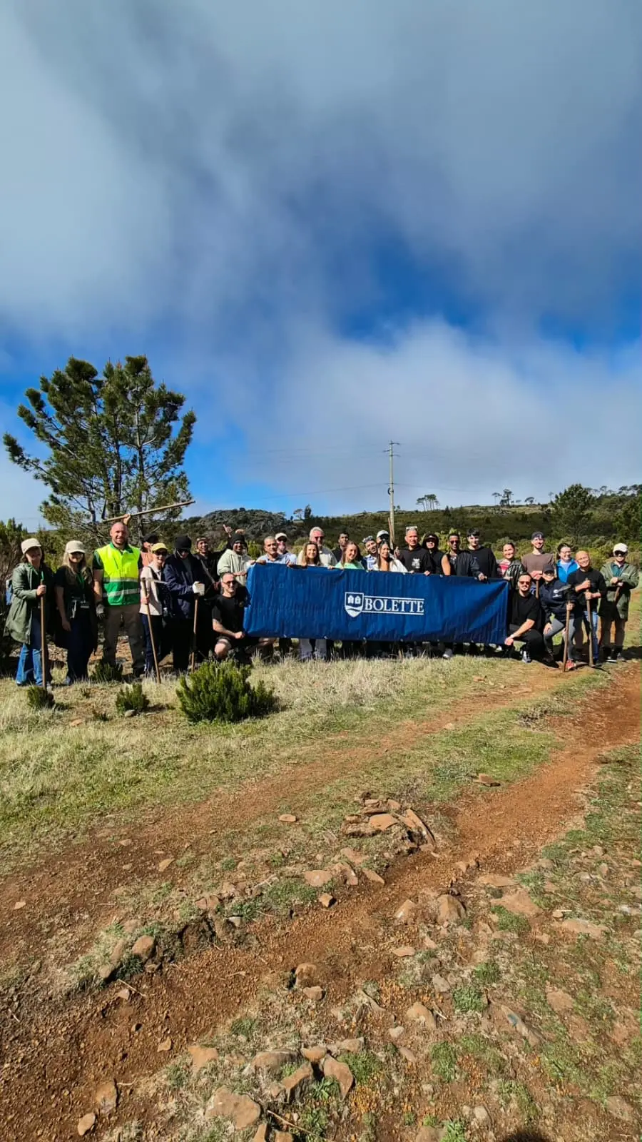 Passageiros e tripulantes de navio de cruzeiro plantam 300 árvores na Madeira