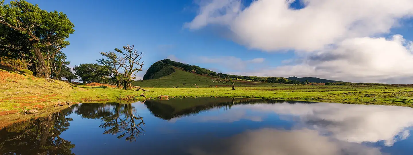 Madeira natural landscape