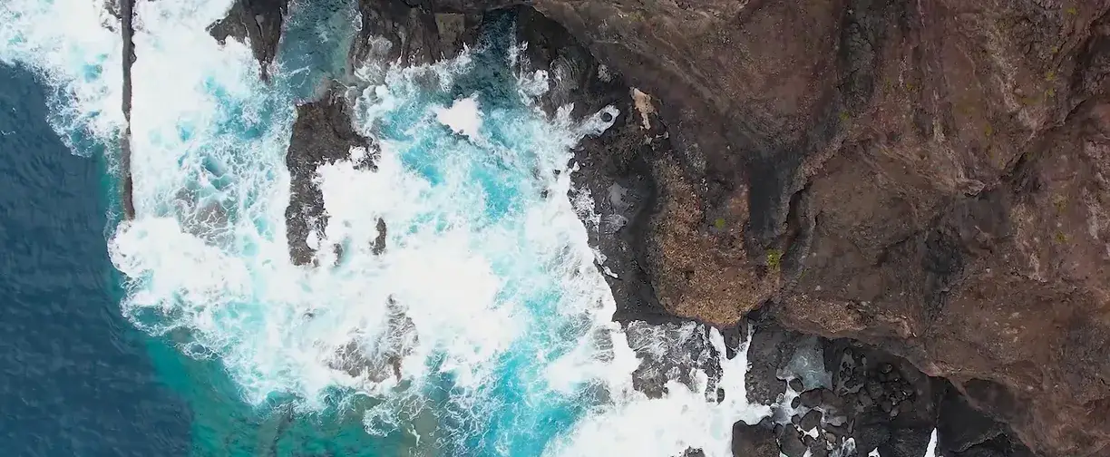 Sustainability video